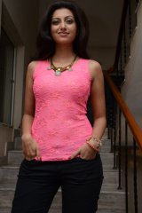 Hamsa Nandini at Bhai Platinum